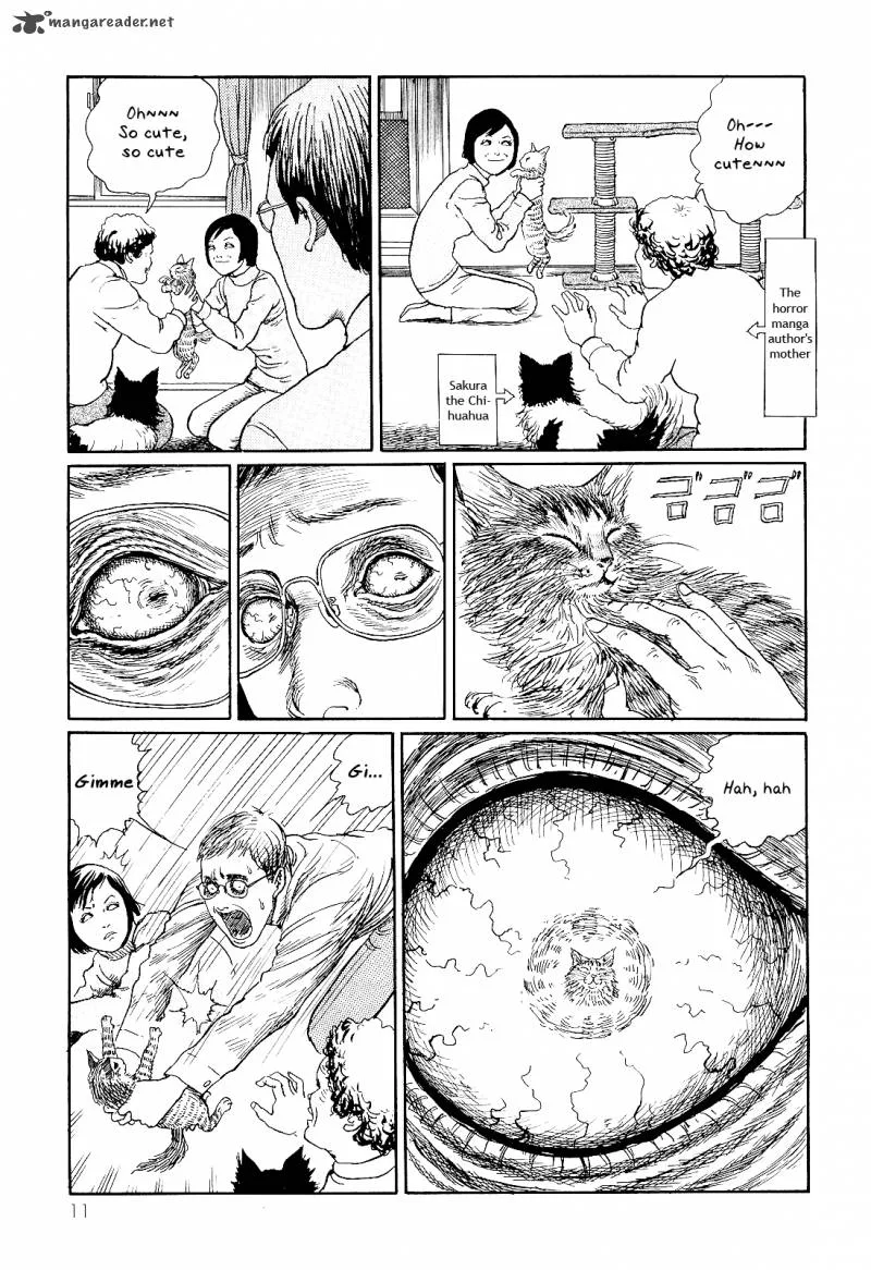 Ito Junji's Cat Diary Chapter 1 page 15