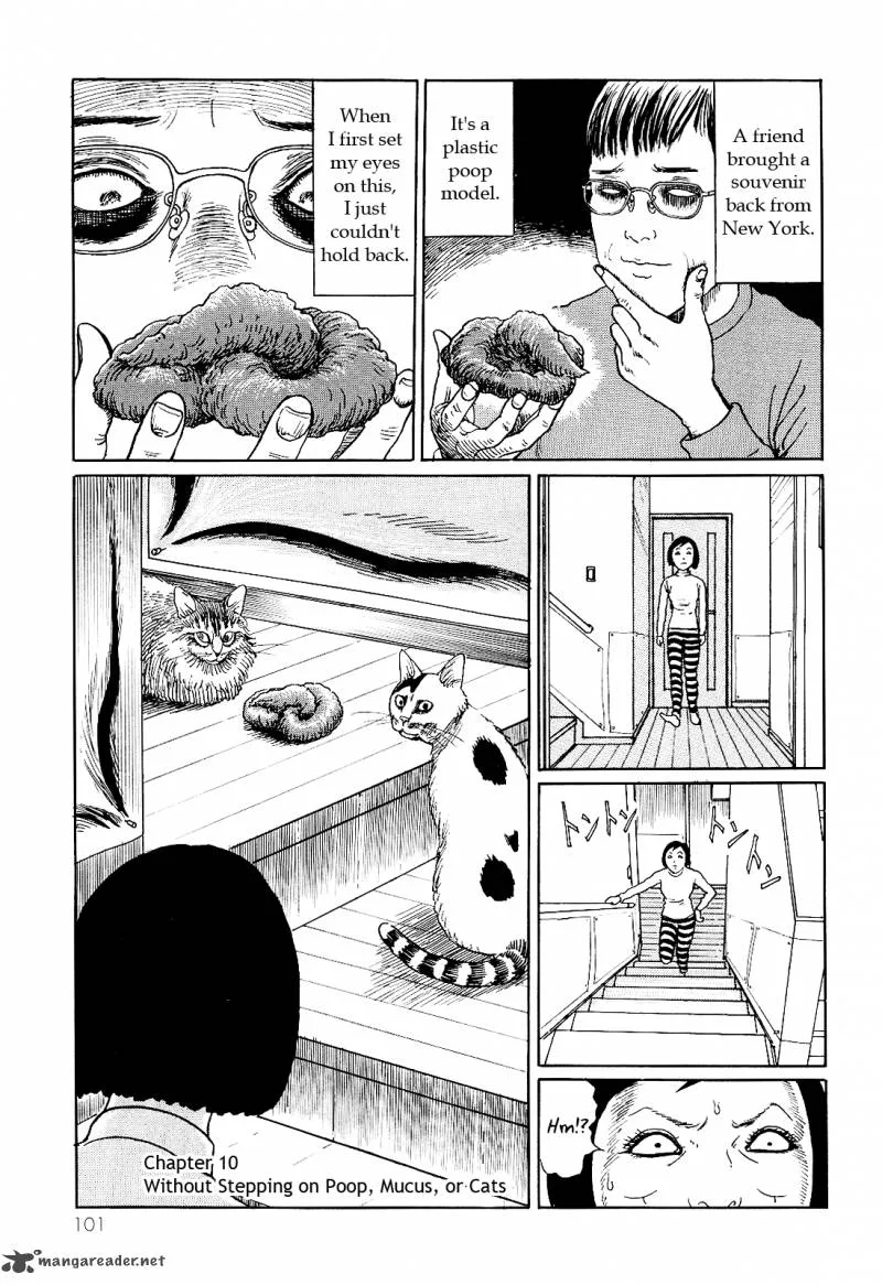 Ito Junji's Cat Diary Chapter 10 page 1
