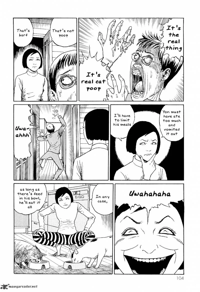 Ito Junji's Cat Diary Chapter 10 page 4