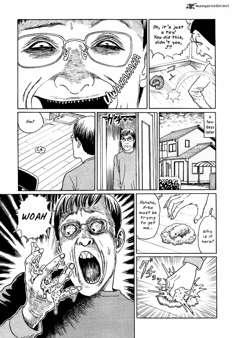 Ito Junji's Cat Diary Chapter 10 page 3