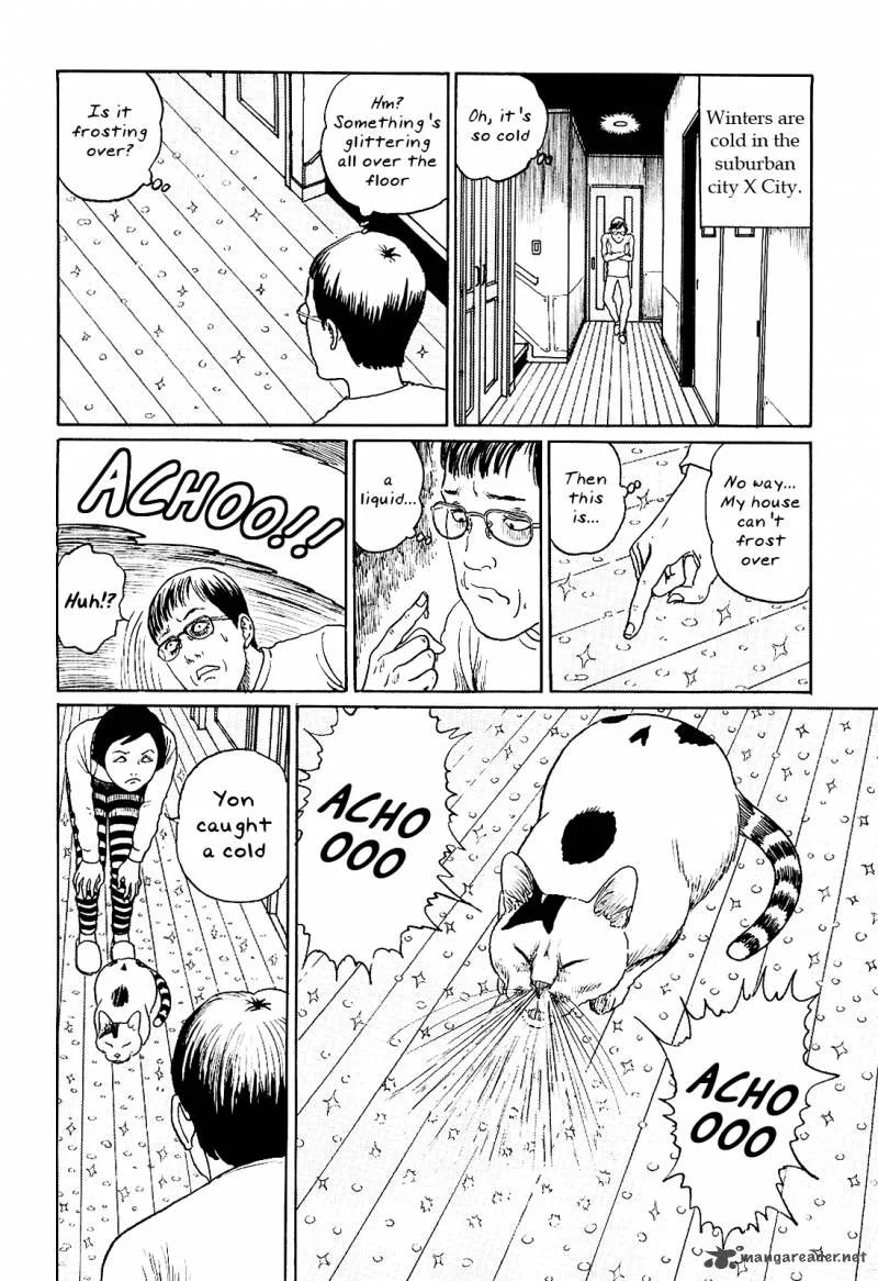 Ito Junji's Cat Diary Chapter 10 page 6