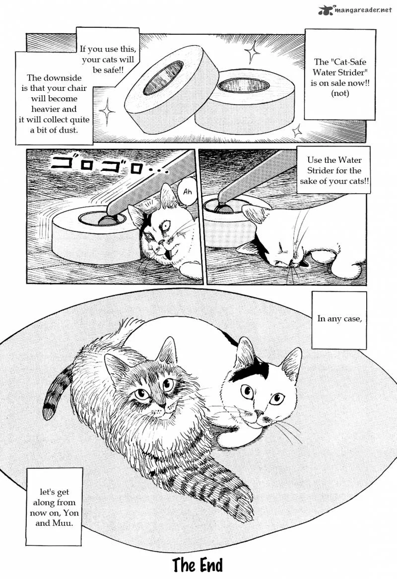 Ito Junji's Cat Diary Chapter 10 page 10