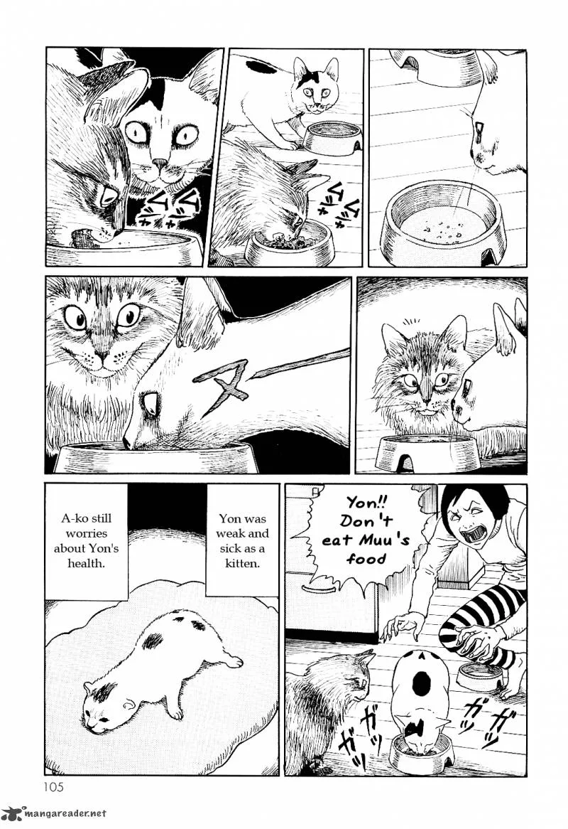 Ito Junji's Cat Diary Chapter 10 page 5