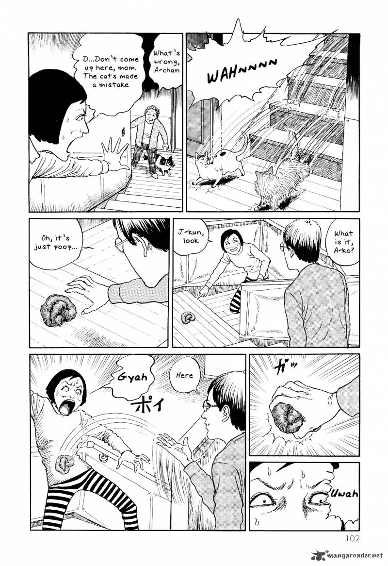 Ito Junji's Cat Diary Chapter 10 page 2