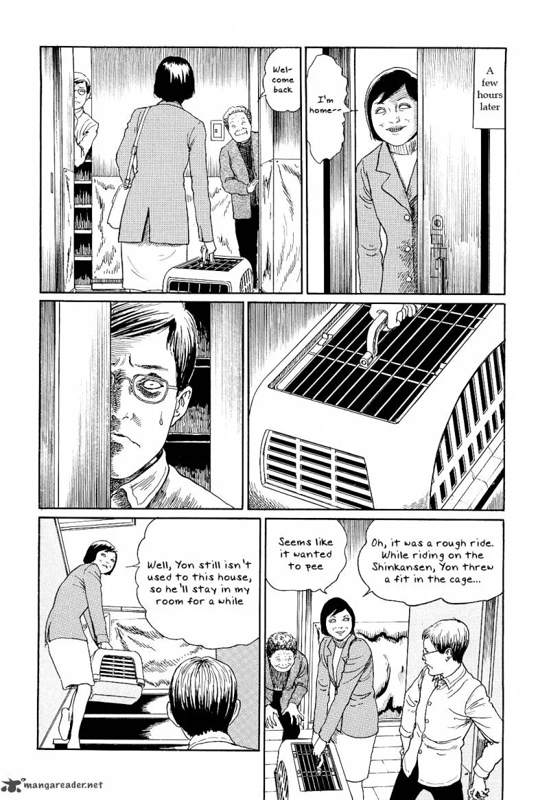 Ito Junji's Cat Diary Chapter 2 page 2