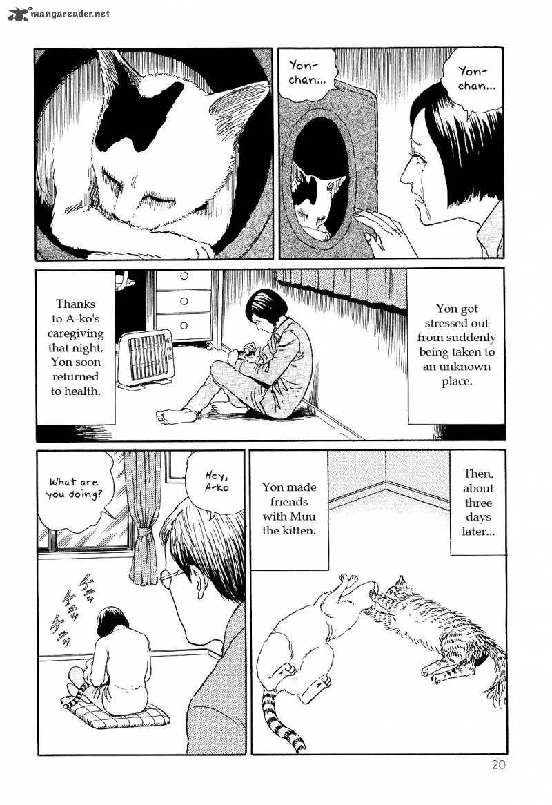 Ito Junji's Cat Diary Chapter 2 page 8