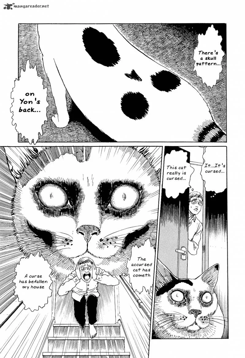 Ito Junji's Cat Diary Chapter 2 page 5