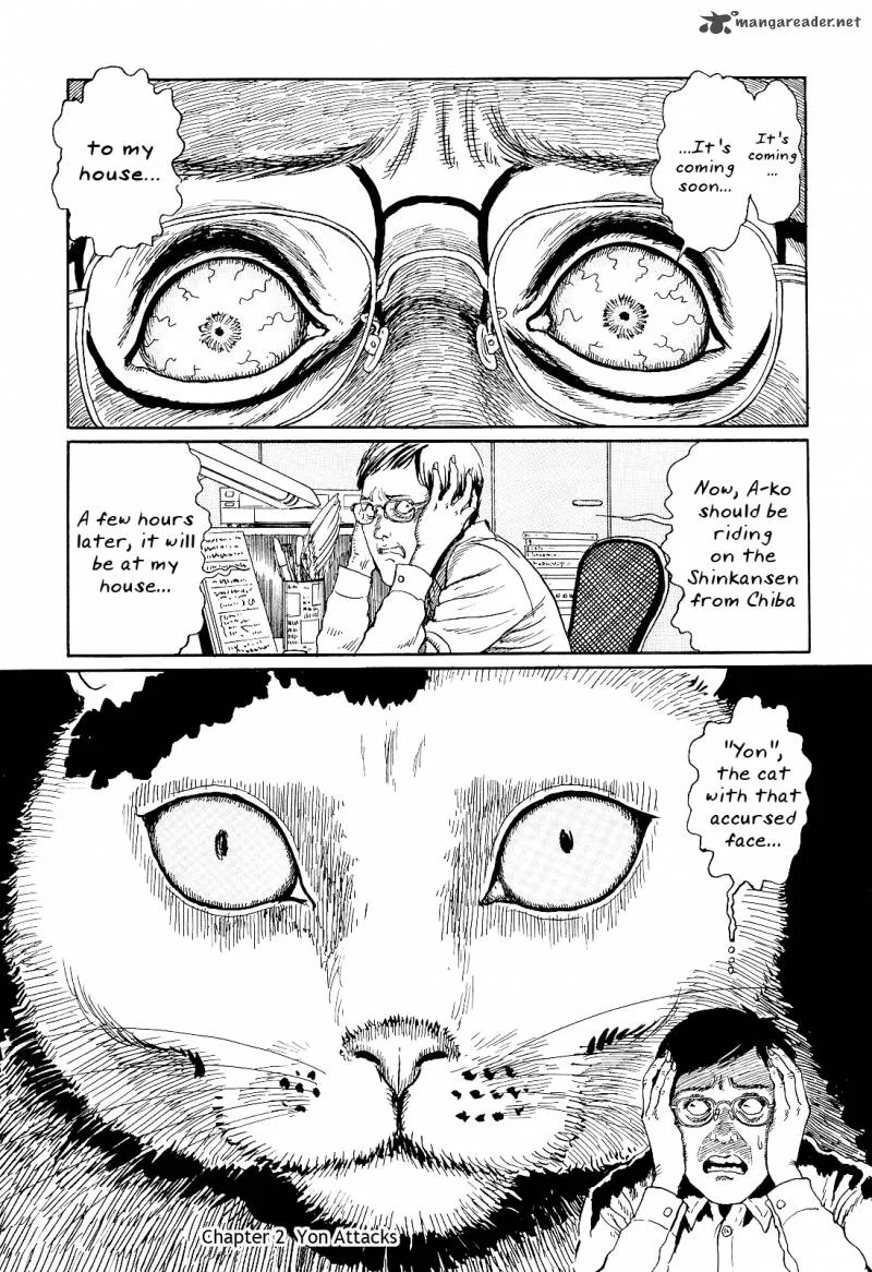 Ito Junji's Cat Diary Chapter 2 page 1