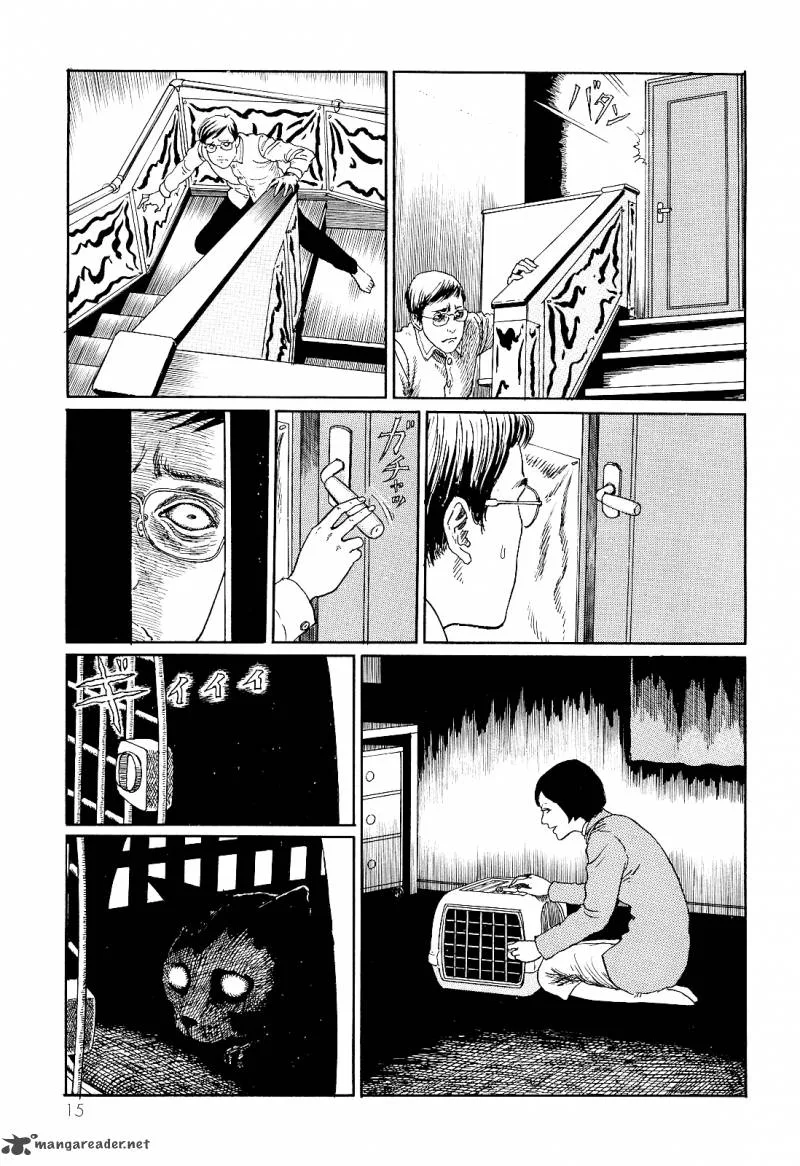 Ito Junji's Cat Diary Chapter 2 page 3