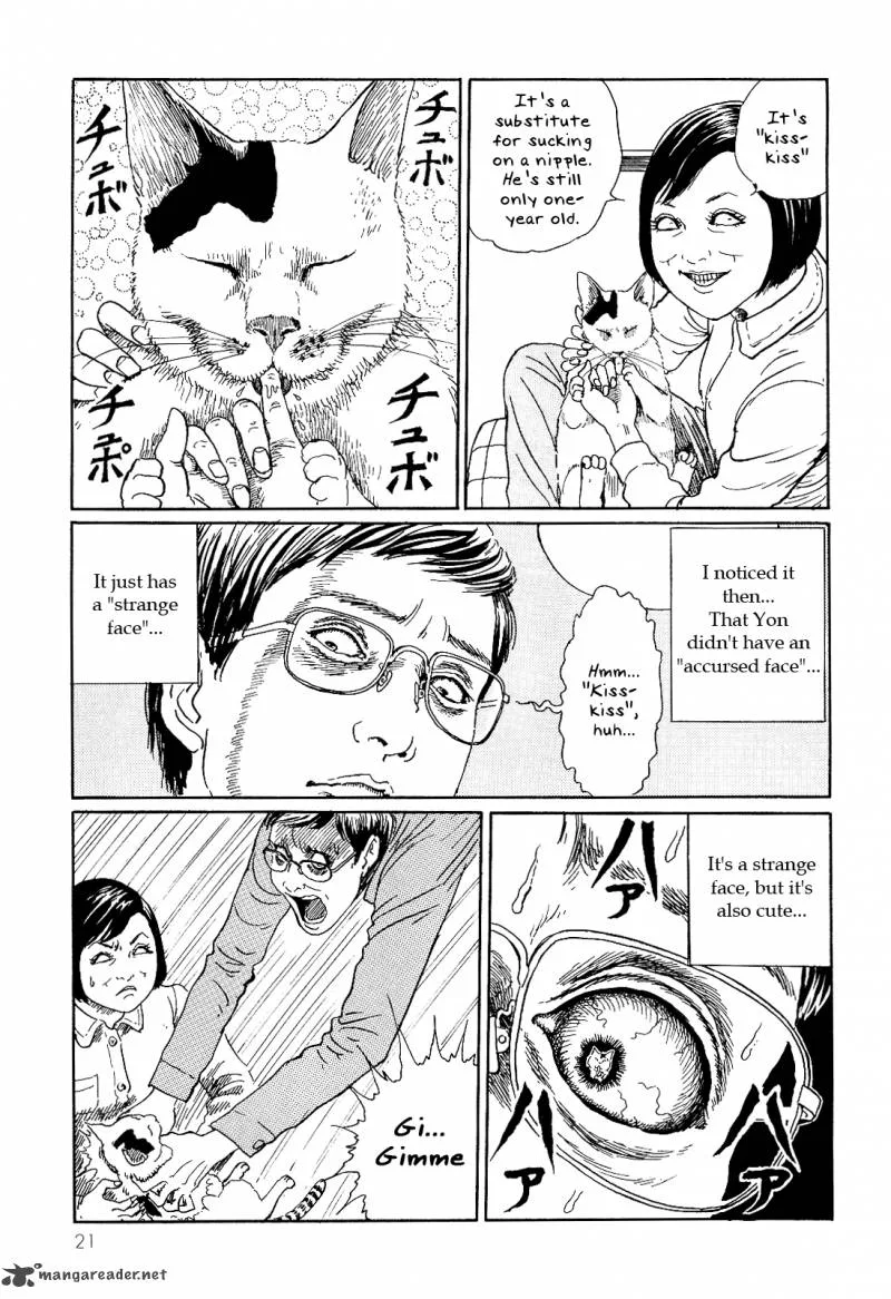 Ito Junji's Cat Diary Chapter 2 page 9