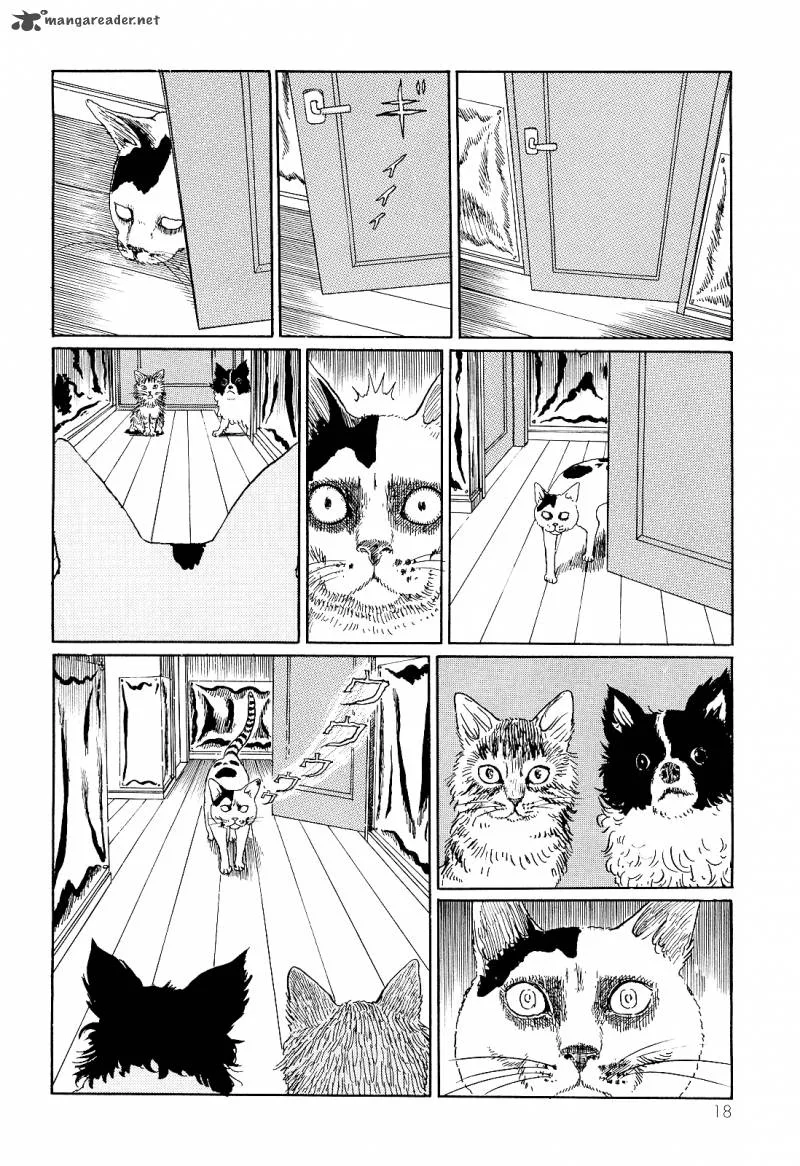 Ito Junji's Cat Diary Chapter 2 page 6