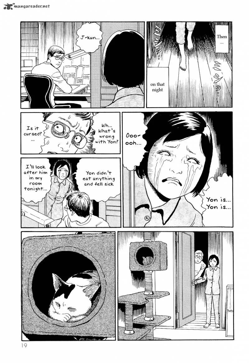 Ito Junji's Cat Diary Chapter 2 page 7