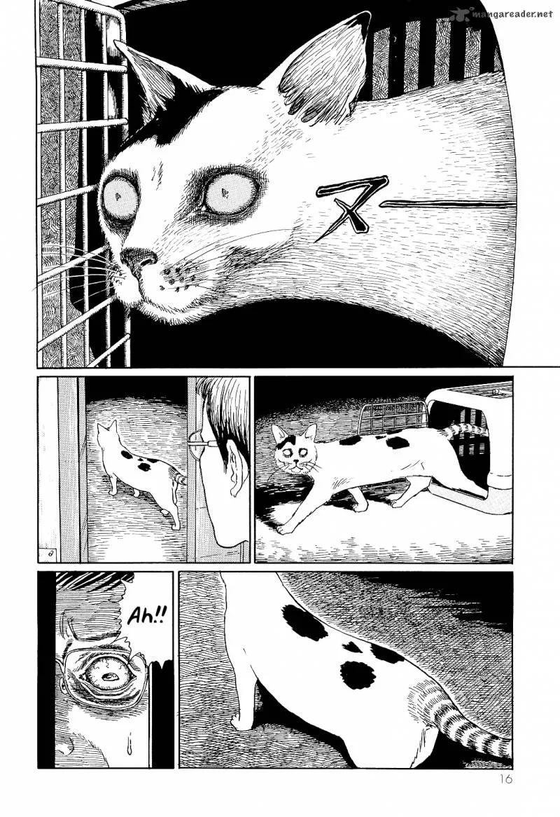 Ito Junji's Cat Diary Chapter 2 page 4