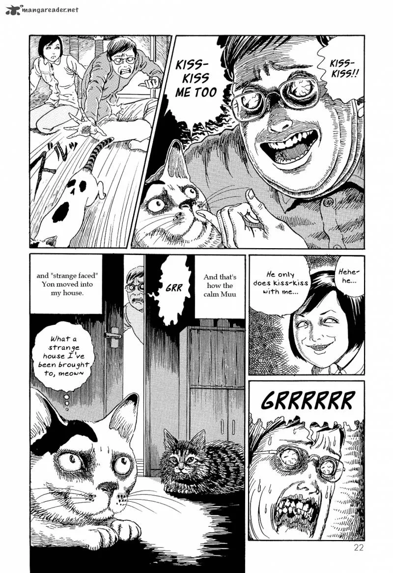 Ito Junji's Cat Diary Chapter 2 page 10
