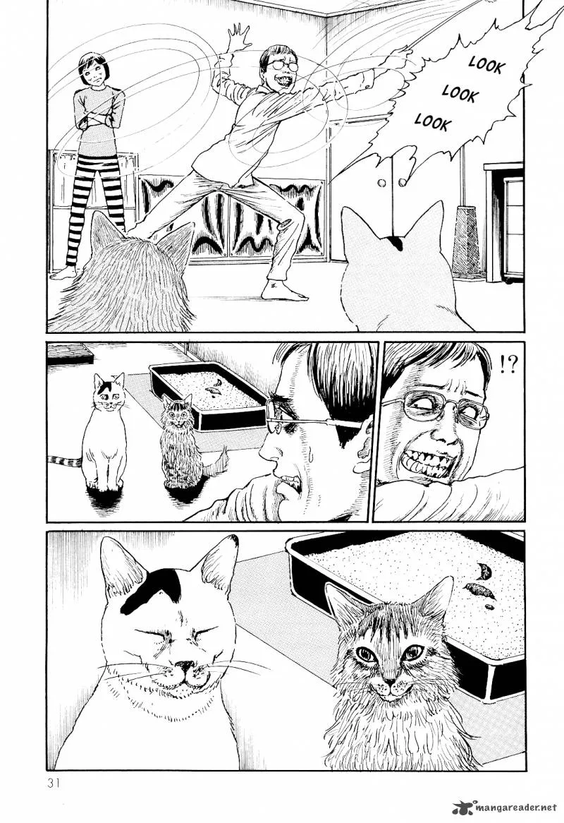 Ito Junji's Cat Diary Chapter 3 page 7