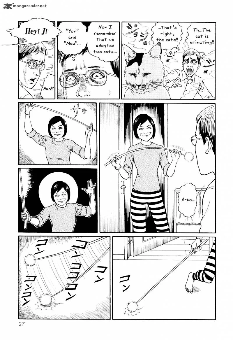 Ito Junji's Cat Diary Chapter 3 page 3
