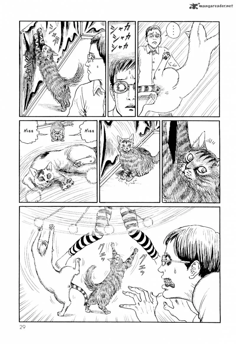 Ito Junji's Cat Diary Chapter 3 page 5