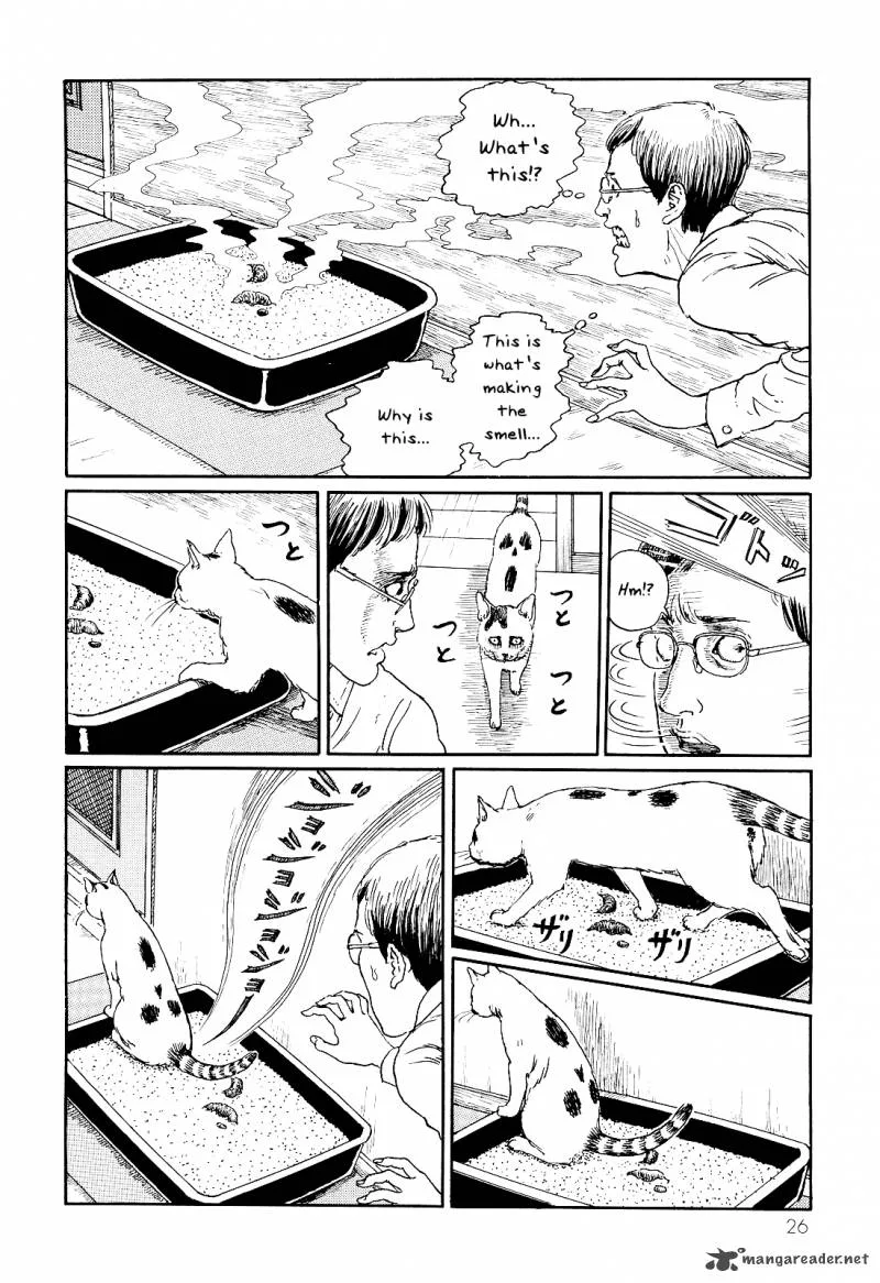 Ito Junji's Cat Diary Chapter 3 page 2
