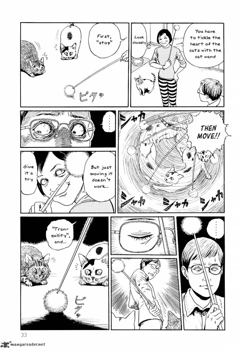 Ito Junji's Cat Diary Chapter 3 page 9