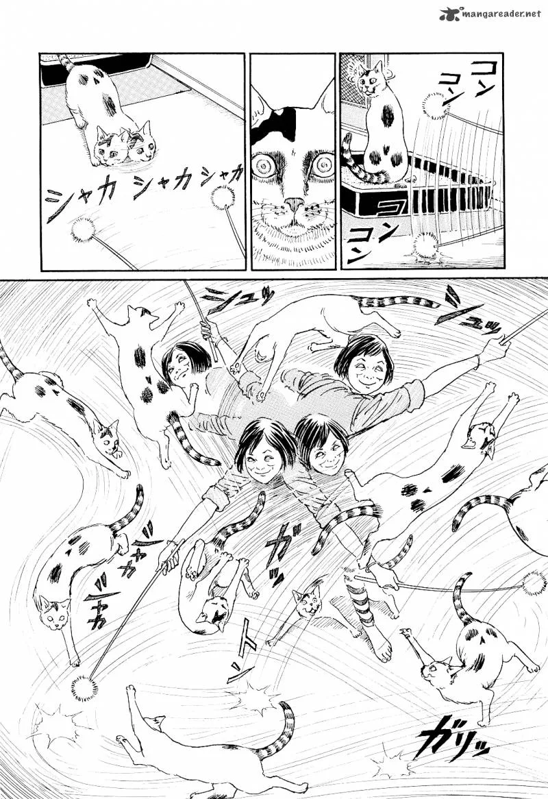 Ito Junji's Cat Diary Chapter 3 page 4