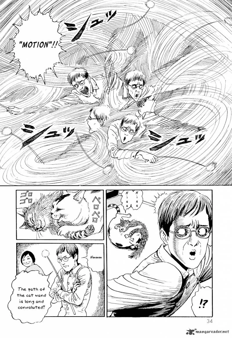 Ito Junji's Cat Diary Chapter 3 page 10