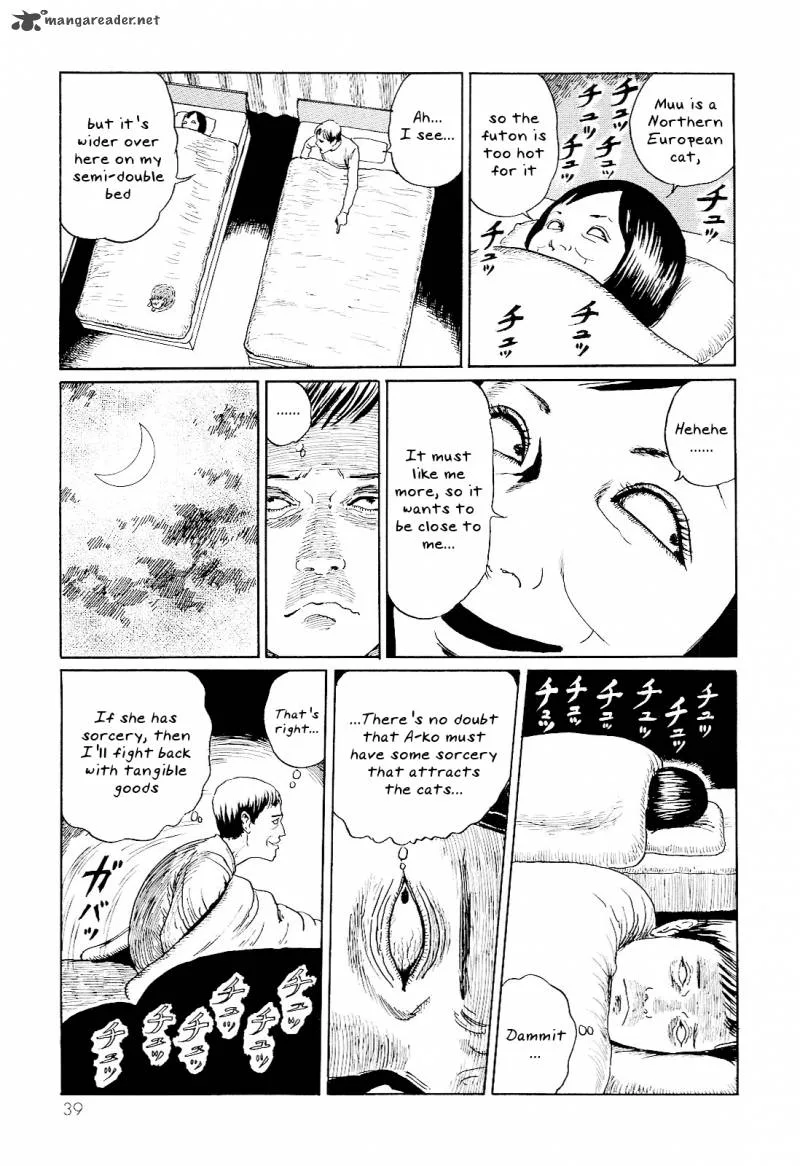 Ito Junji's Cat Diary Chapter 4 page 5
