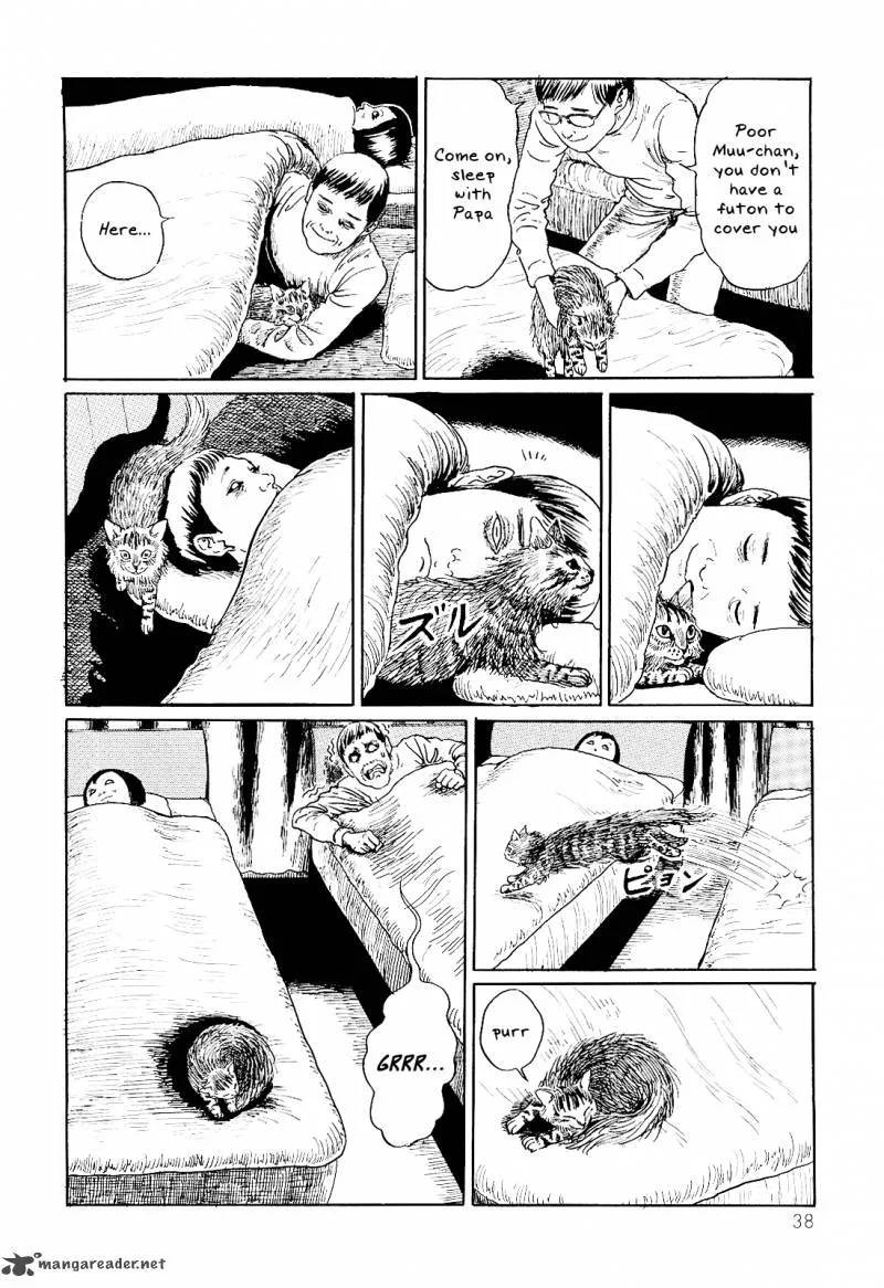 Ito Junji's Cat Diary Chapter 4 page 4