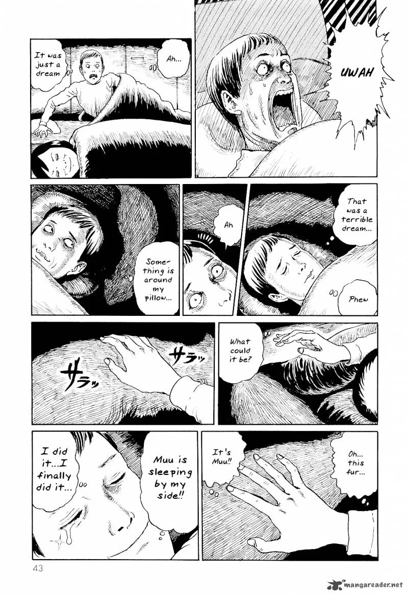 Ito Junji's Cat Diary Chapter 4 page 9