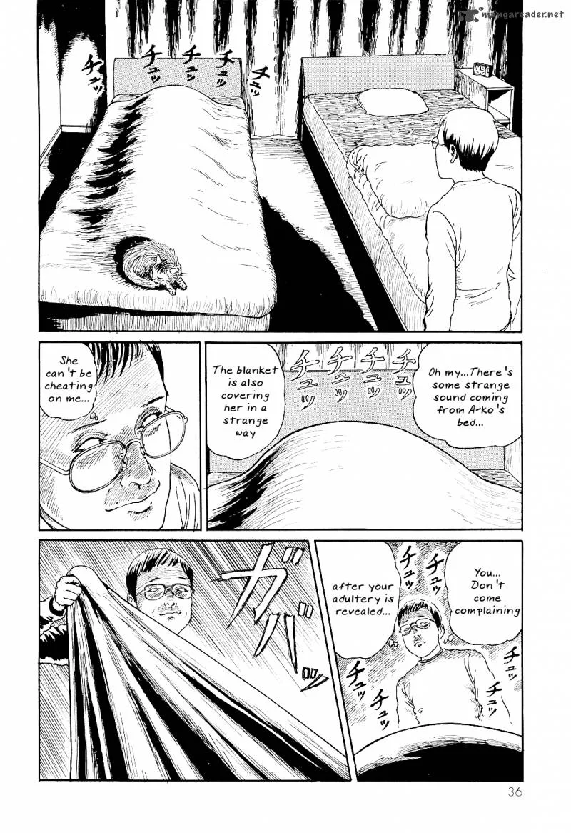 Ito Junji's Cat Diary Chapter 4 page 2