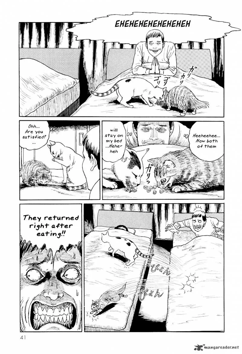 Ito Junji's Cat Diary Chapter 4 page 7