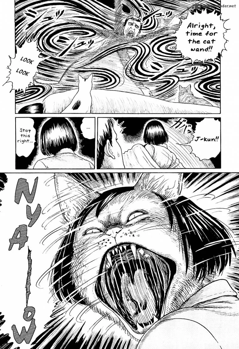 Ito Junji's Cat Diary Chapter 4 page 8