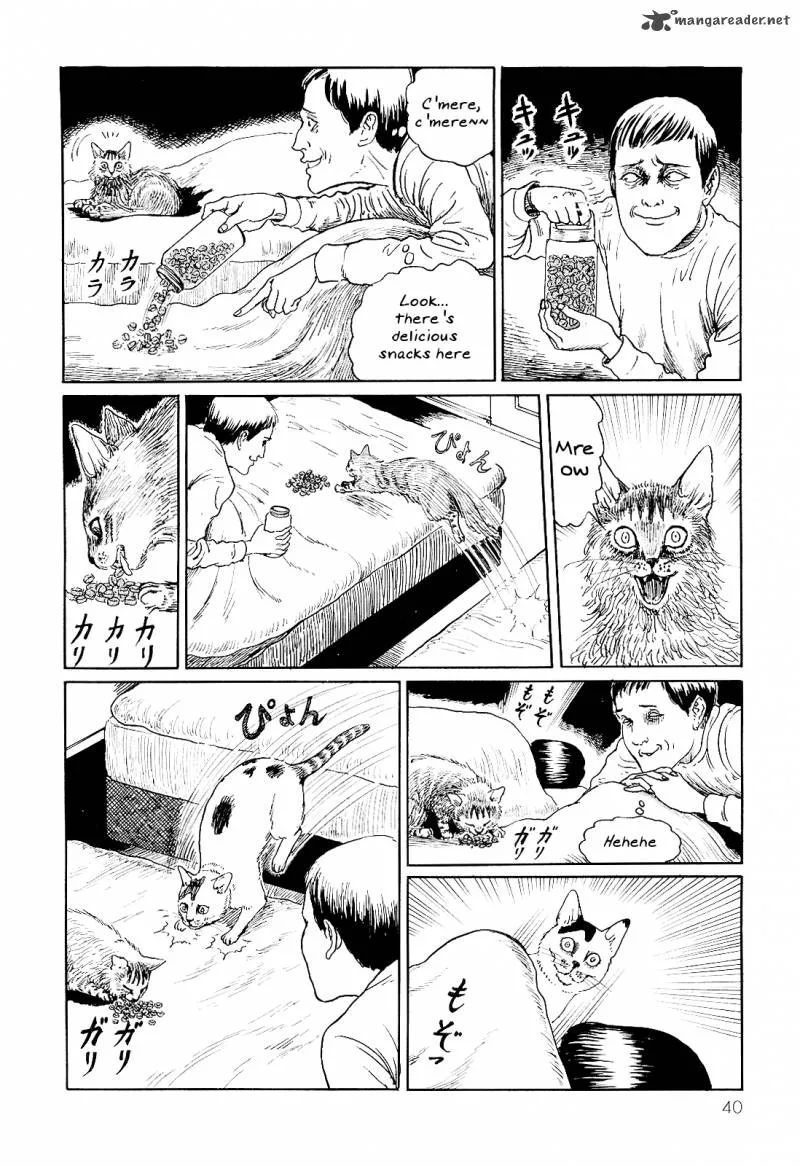 Ito Junji's Cat Diary Chapter 4 page 6