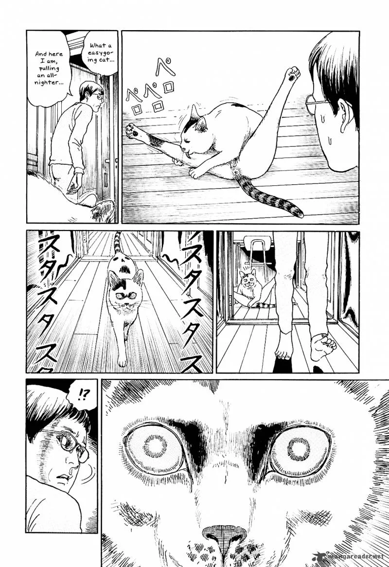 Ito Junji's Cat Diary Chapter 5 page 4