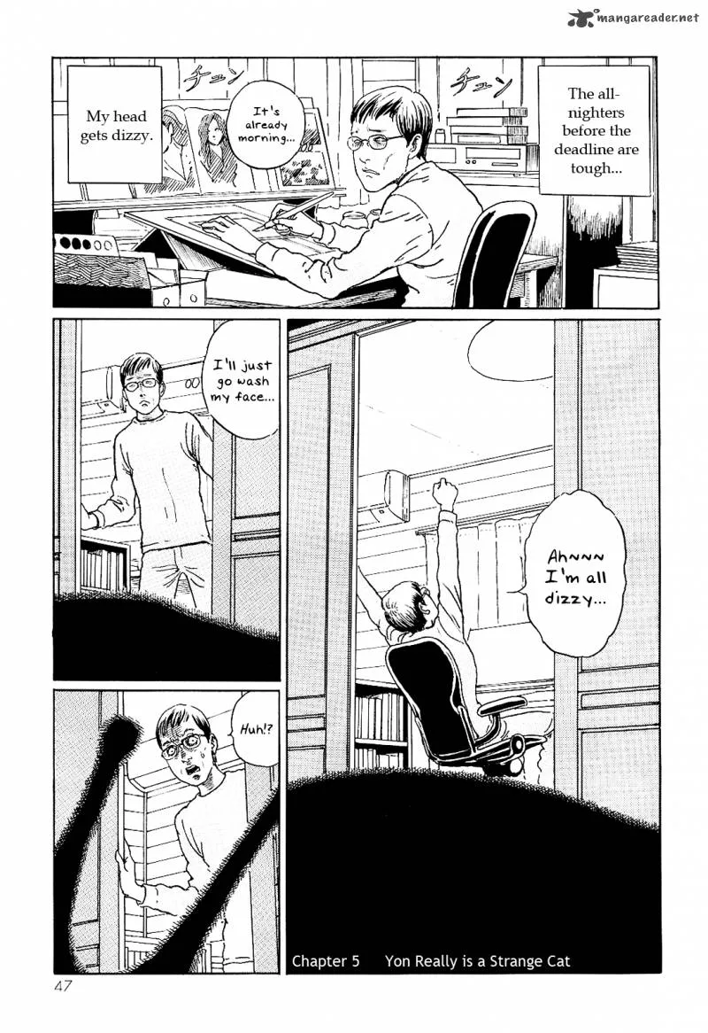 Ito Junji's Cat Diary Chapter 5 page 1