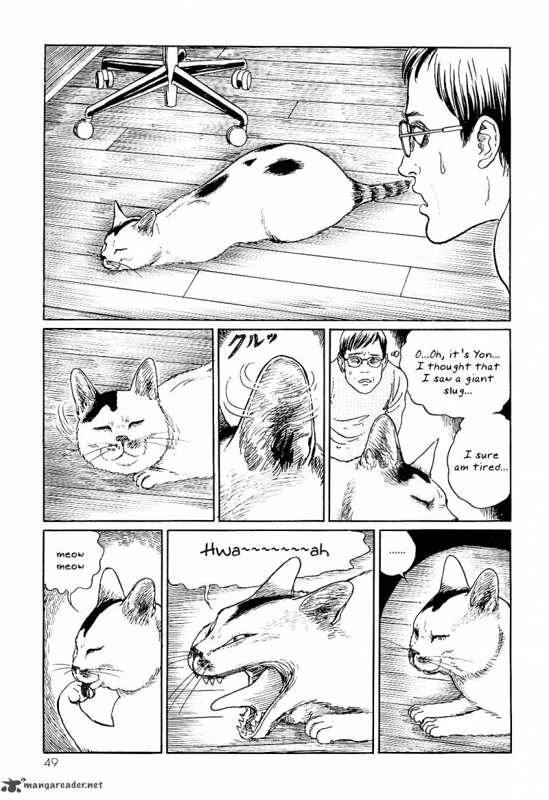 Ito Junji's Cat Diary Chapter 5 page 3
