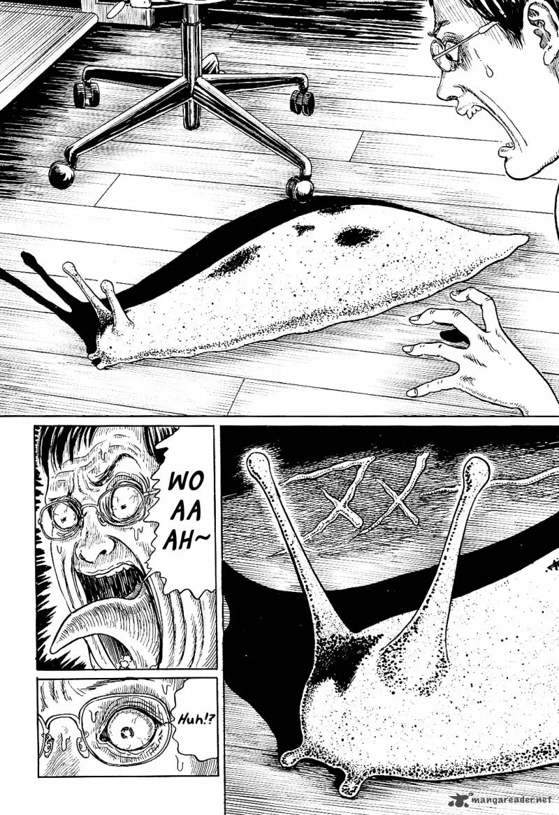 Ito Junji's Cat Diary Chapter 5 page 2