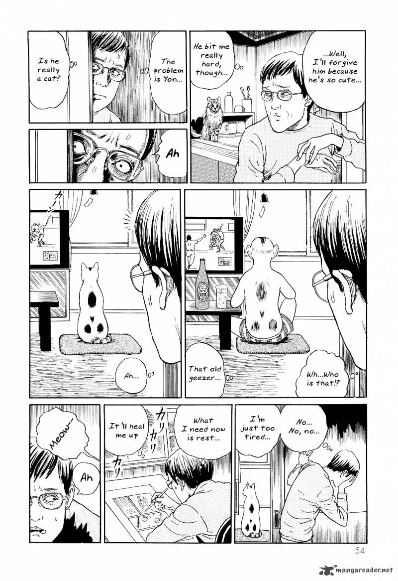 Ito Junji's Cat Diary Chapter 5 page 8
