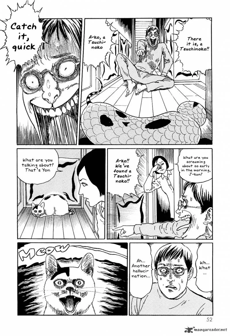 Ito Junji's Cat Diary Chapter 5 page 6