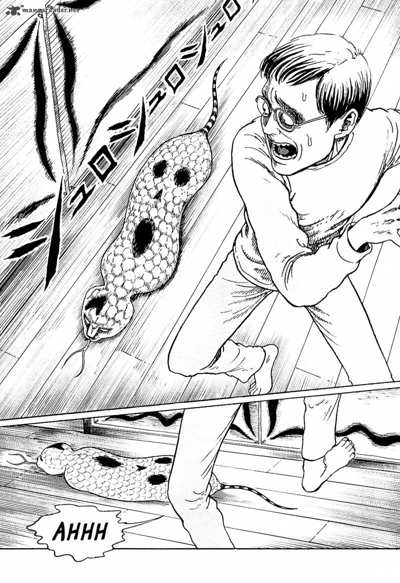 Ito Junji's Cat Diary Chapter 5 page 5