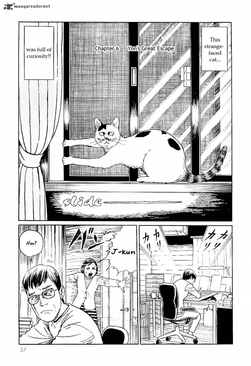 Ito Junji's Cat Diary Chapter 6 page 1