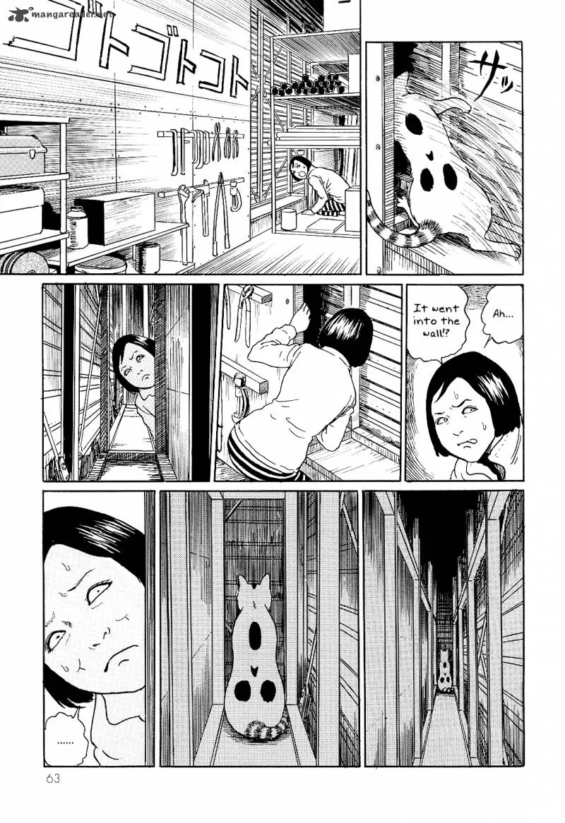 Ito Junji's Cat Diary Chapter 6 page 7