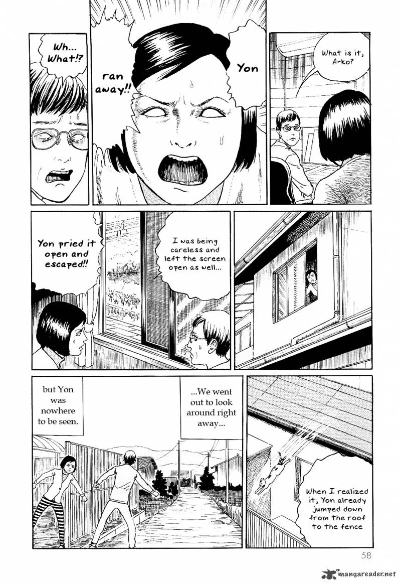 Ito Junji's Cat Diary Chapter 6 page 2