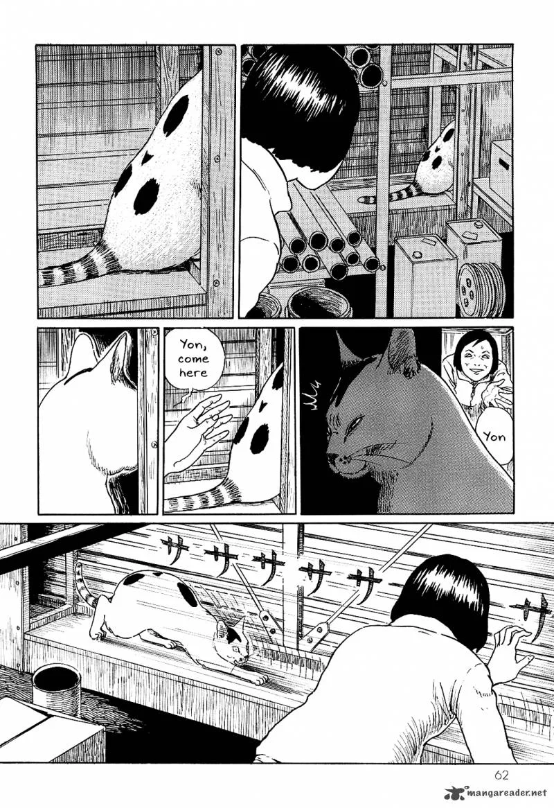 Ito Junji's Cat Diary Chapter 6 page 6