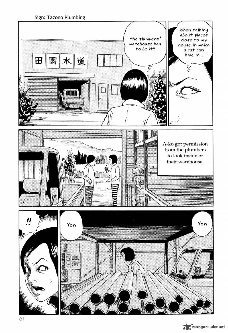 Ito Junji's Cat Diary Chapter 6 page 5