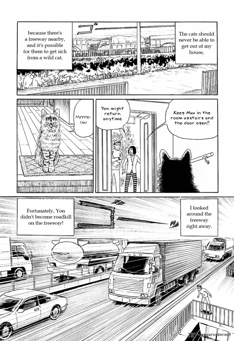 Ito Junji's Cat Diary Chapter 6 page 3