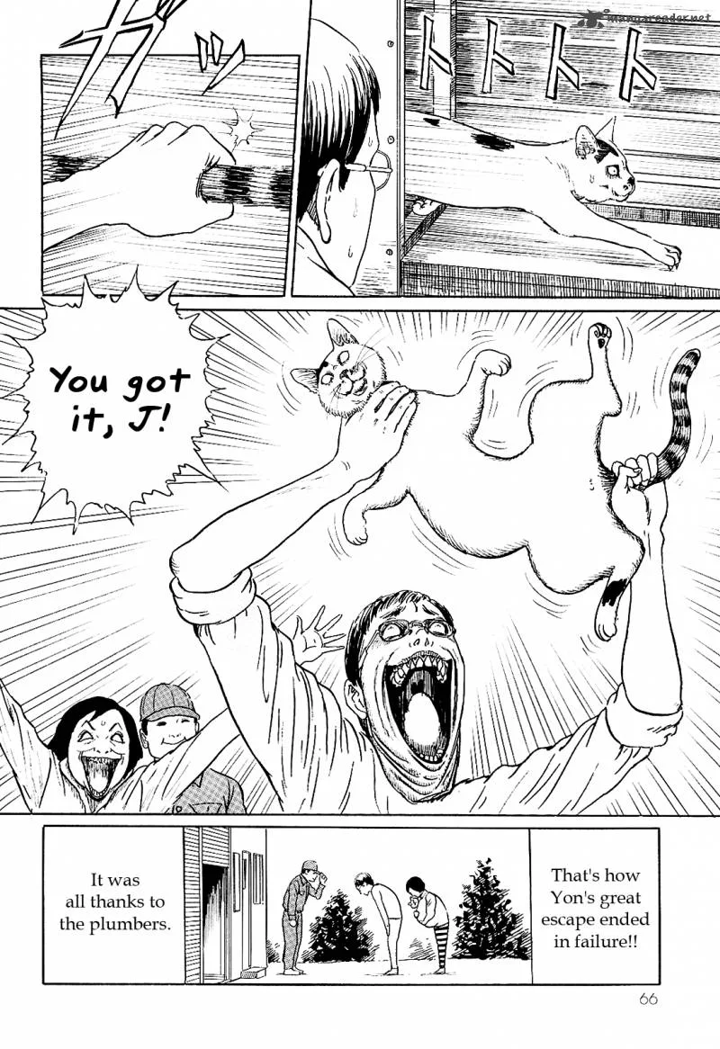 Ito Junji's Cat Diary Chapter 6 page 10
