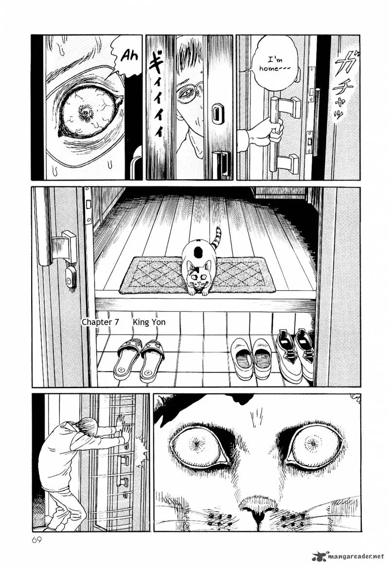 Ito Junji's Cat Diary Chapter 7 page 1