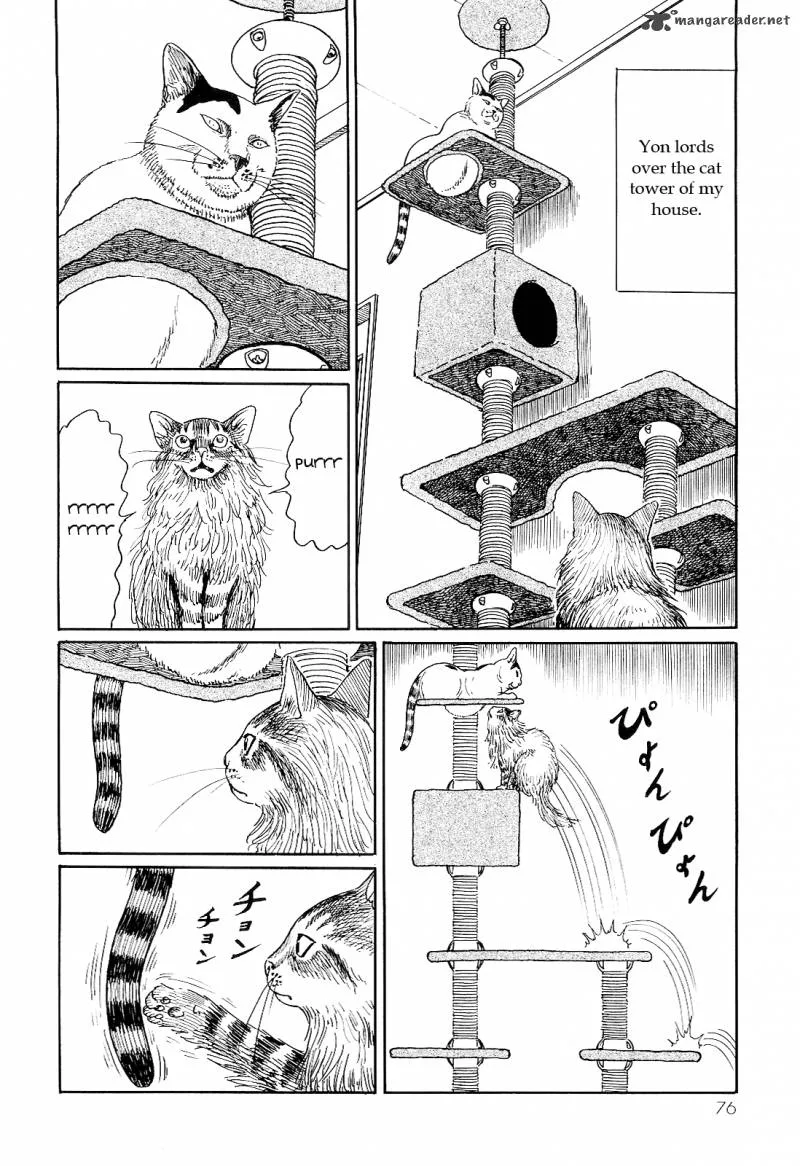 Ito Junji's Cat Diary Chapter 7 page 8