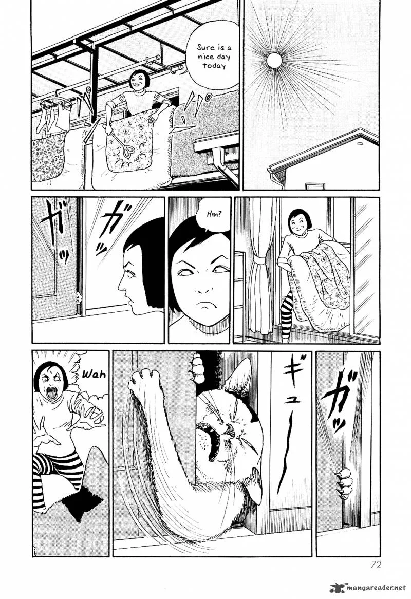 Ito Junji's Cat Diary Chapter 7 page 4