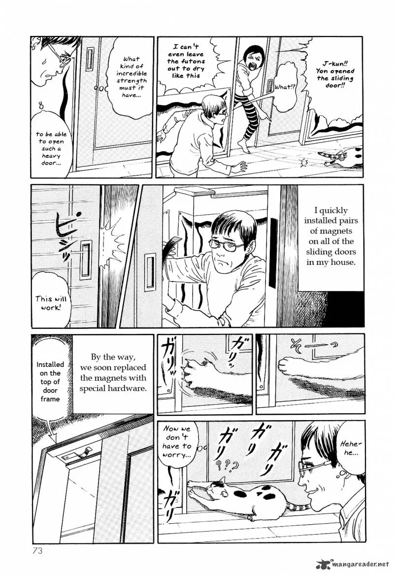 Ito Junji's Cat Diary Chapter 7 page 5